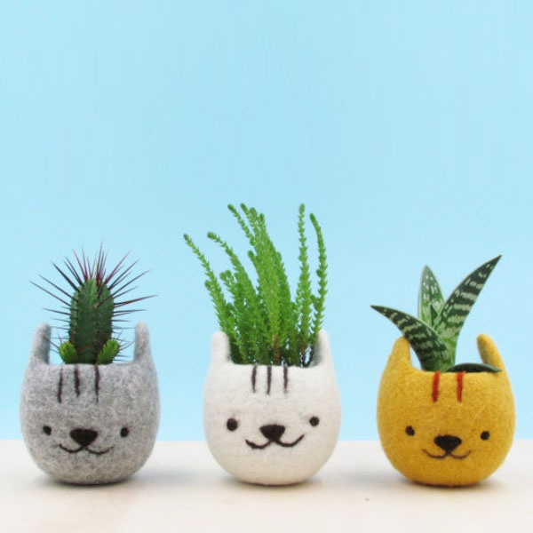 Handmade Felt Animal Planters - ApolloBox